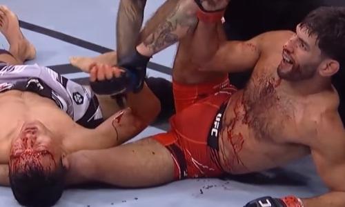 Кровавый бой UFC закончился потерей сознания. Видео