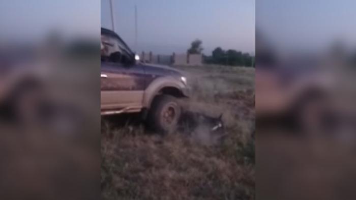Шокирующее видео: мужчина на внедорожнике придавил лошадь в Алматинской области
                18 июля 2022, 17:18