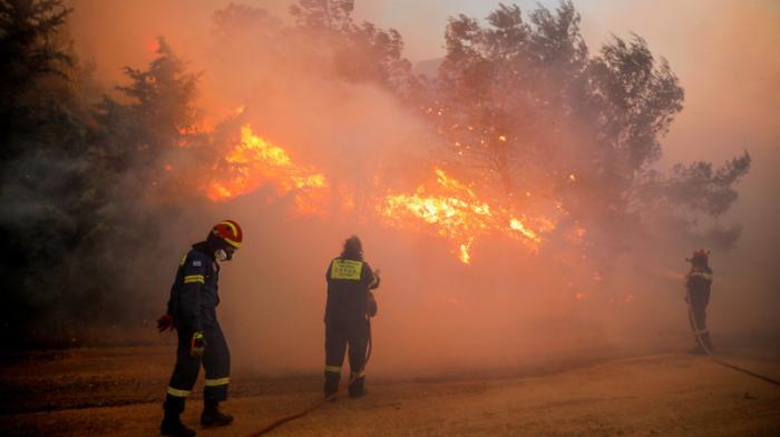 Европа столкнулась с новой вспышкой смертельных лесных пожаров
                20 июля 2022, 12:15