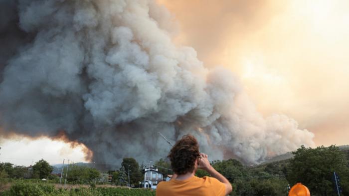Лесные пожары в Европе достигли Греции и Польши
                22 июля 2022, 18:34