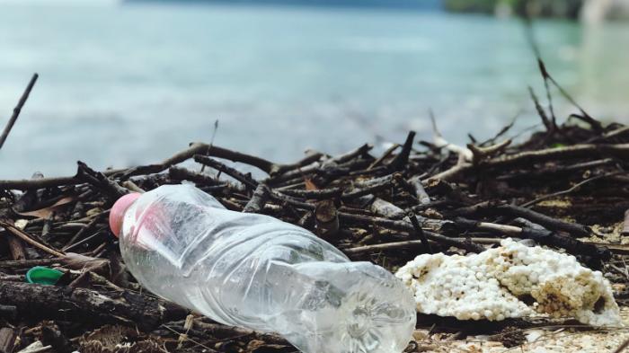 Бактерии могут удалять пластик из озер - ученые
                27 июля 2022, 20:00