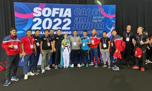 Казахстанка завоевала «серебро» чемпионата мира по таеквондо