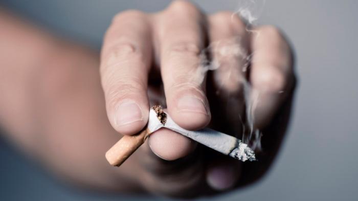 Не никотином единым: врач о вреде угарного газа от сигарет
                02 августа 2022, 09:05