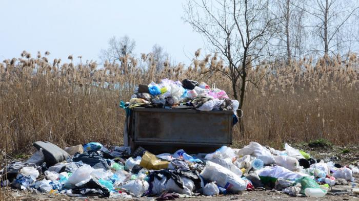 На 19 миллионов тенге оштрафовали жителей Шымкента за незаконный выброс мусора
                02 августа 2022, 13:39