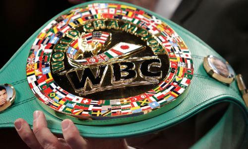 WBC выпустил официальное заявление о трансгендерах в боксе