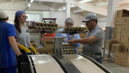 177 тысяч яиц в сутки: В селе Доскей возобновлена работа птицефабрики