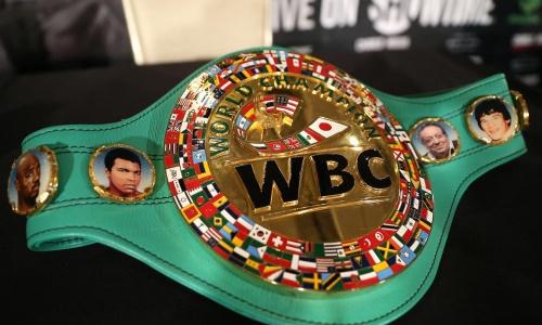 WBC сделал официальное заявление о допуске боксеров-трансгендеров