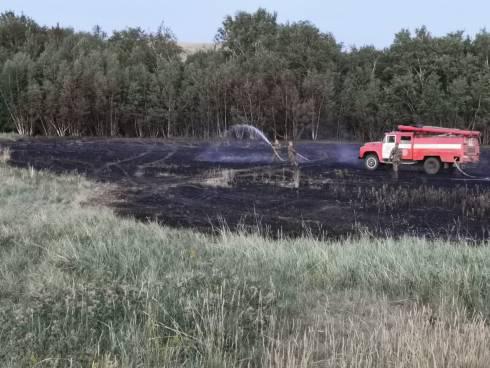 Шесть степных возгорания произошло за сутки в Карагандинской области
