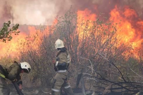 17 природных пожаров возникли в Карагандинской области за сутки