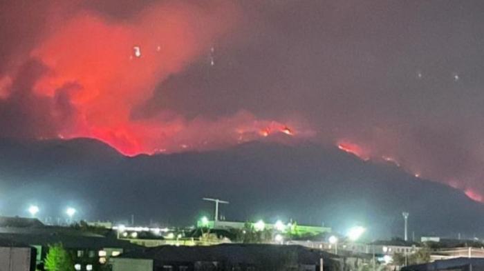 Пожар в горах Жетысуской области: площадь возгорания увеличилась в два раза
                09 сентября 2022, 13:26