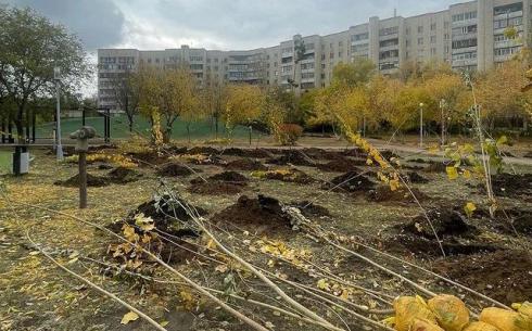 Осенью в Караганде планируют высадить порядка 2,5 тысяч деревьев