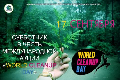 17 сентября по всему миру пройдет масштабный субботник «World Cleanup day 2022»