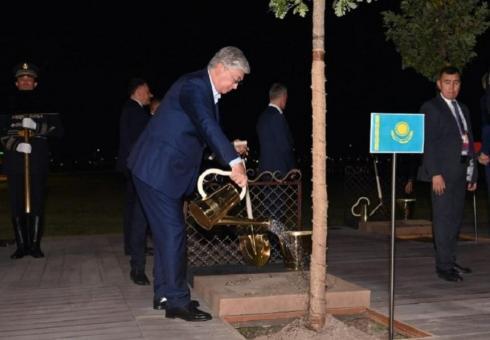Президент Казахстана и лидеры государств-членов ШОС посадили деревья Самарканде