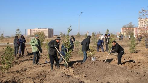 Около 200 сосен и берёз посадили на территории КарУ имени Е. А. Букетова