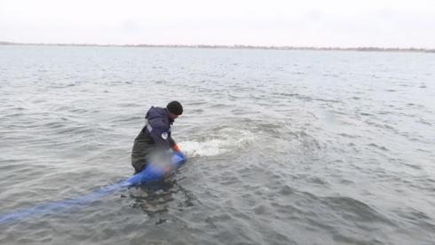 В этом году более 400 тысяч рыбной молоди выпустили в водоёмы Карагандинской области