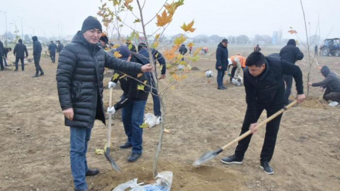 600 деревьев посадили в одном из парков Жамбылской области
                12 ноября 2022, 15:04