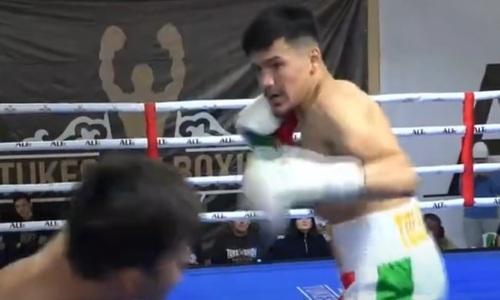 Неожиданным исходом завершился бой непобежденного казахстанского боксера. Видео