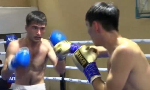 Досрочно завершился бой казахстанского боксера. Видео
