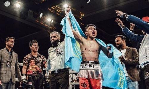 Непобежденный «Казахский воин» получил дату боя за титул WBC. Известны соперник и место