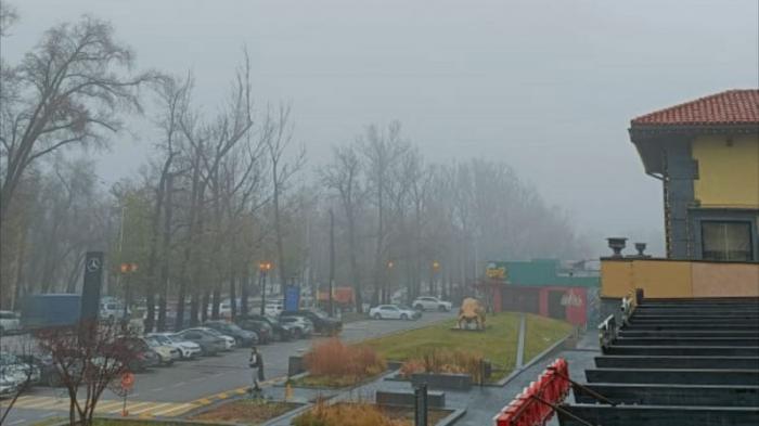 Густой туман окутал Алматы после дождей
                24 ноября 2022, 10:40