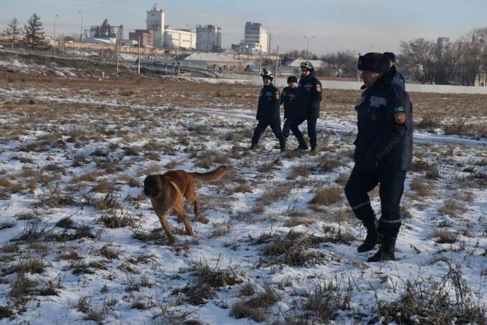 В Северном Казахстане МЧС отработало спасение пострадавших в зимний период