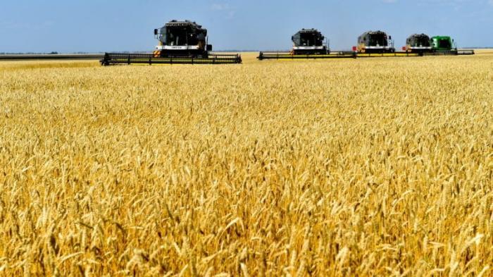 Сельхозпродукцию на 1 триллион тенге произвели в Северном Казахстане
                29 ноября 2022, 11:09