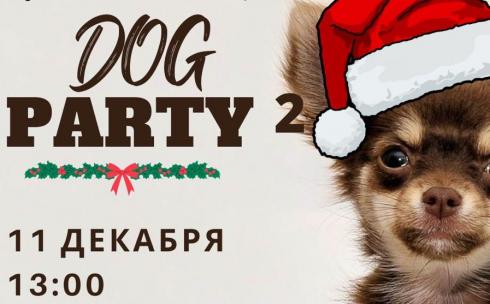 В Караганде снова пройдет «Dog Party»