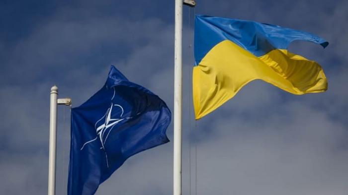 Вступление Украины в НАТО маловероятно - Макрон
                Вчера, 20:11
