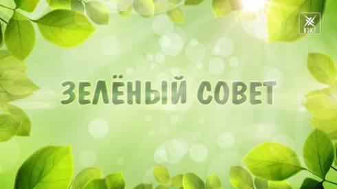 В Карагандинской области вновь создан Зеленый совет