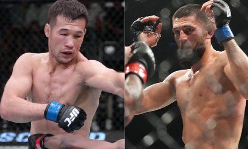 Названо условие для боя Шавкат Рахмонов — Хамзат Чимаев в UFC