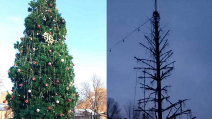 Кыргызстанка сожгла елку на площади, потому что не верила в Новый год
                30 декабря 2022, 22:30