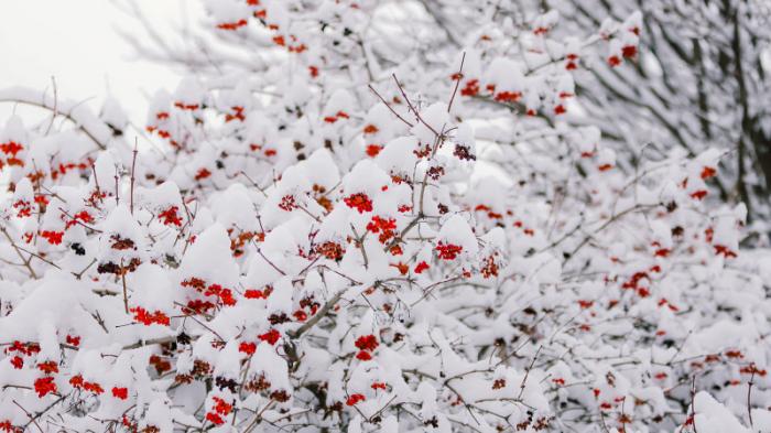 В Алматы выпало около 20 сантиметров снега
                01 января 2023, 13:02