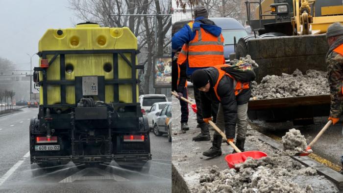 Жидкими противогололедными реагентами начали поливать улицы Алматы
                12 января 2023, 11:37