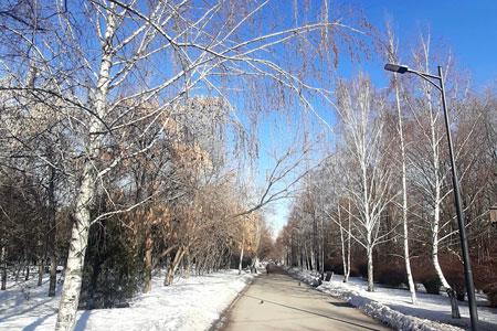 В Алматы парк вернули в госсобственность