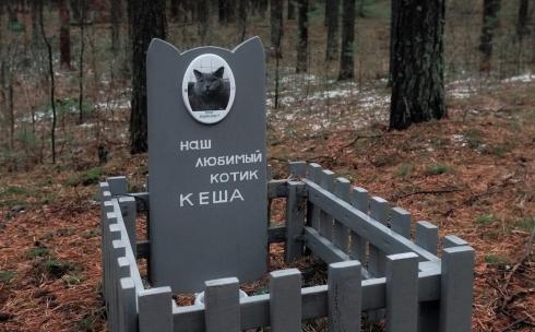Кладбище домашних животных: почему его нет в Караганде и где хоронить питомцев