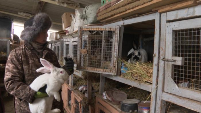 Как крольчонок помог построить бизнес многодетной семье из Алматинской области
                16 февраля 2023, 17:27