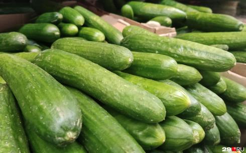 В Караганде назвали возможный фактор роста цен на тепличные овощи