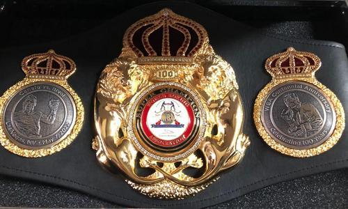 Появилась информация о первой защите освобожденного Головкиным титула чемпиона мира WBA