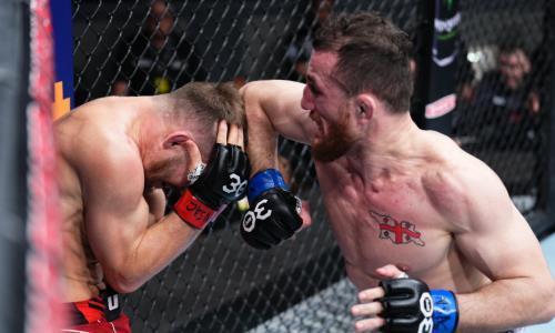 Видео боя Ян — Двалишвили с неожиданным разгромом в главном событии турнира UFC