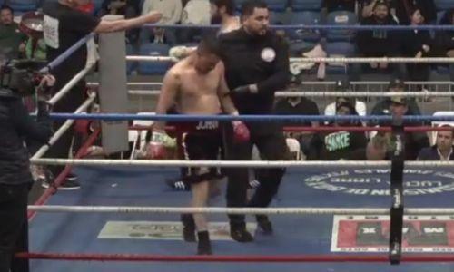 Избил и нокаутировал. Видео полного боя казахстанского боксера с мексиканцем у него на родине