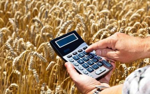 В этом году на развитие сельского хозяйства в Карагандинской области предусмотрено более 22 миллиардов тенге субсидий