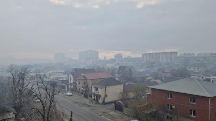 Занятия в школах Атырау отменили из-за дыма
                03 апреля 2023, 12:11