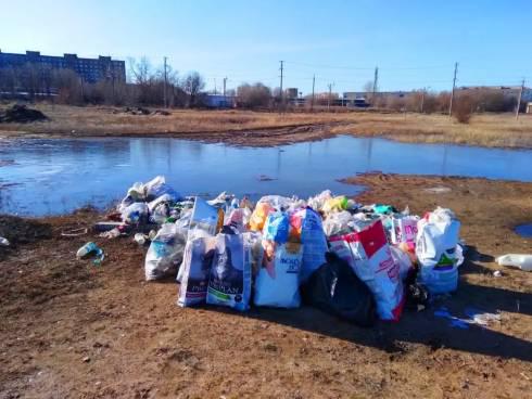 В Темиртау активисты убрали берег водохранилища, не дожидаясь городского субботника