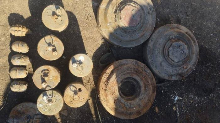 Мины и гранаты нашел житель Акмолинской области на пустыре
                06 апреля 2023, 10:07