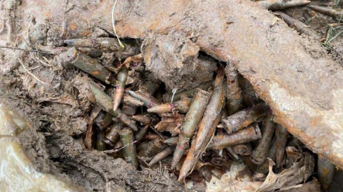 Схрон с боеприпасами найден близ военного полигона в Жетысу
                12 апреля 2023, 22:18