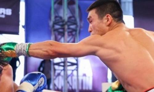 Видео быстрого нокаута в бою казахстанского чемпиона из зала «Канело» с экс-соперником Турсынбая Кулахмета