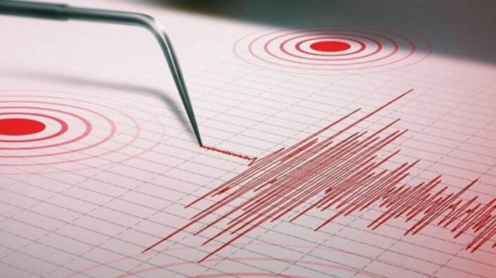 Четвертое землетрясение за сутки зафиксировано в 377 километрах от Алматы
                16 апреля 2023, 17:41
