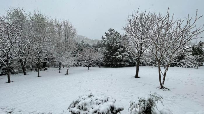 Апрельский снегопад удивил алматинцев: горожане делятся фото в соцсетях
                18 апреля 2023, 09:24