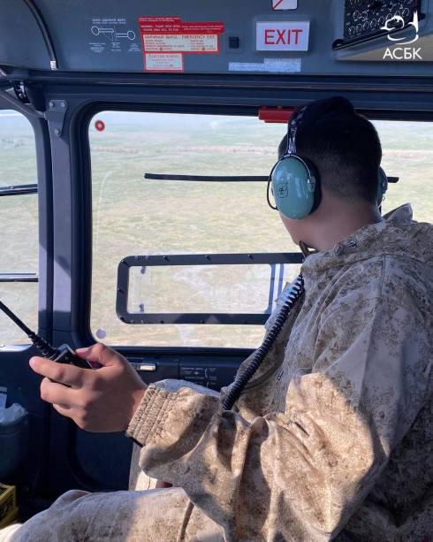 Авиаучет популяции сайгаков начался в Казахстане
