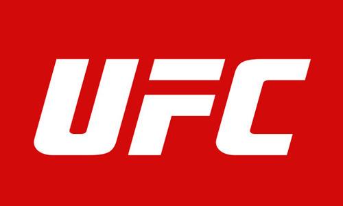 Казахстан увеличил свое представительство в UFC